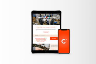 萬域品牌形象設(shè)計(jì) 以清潔與現(xiàn)代理念重塑生鮮食品企業(yè)新形象